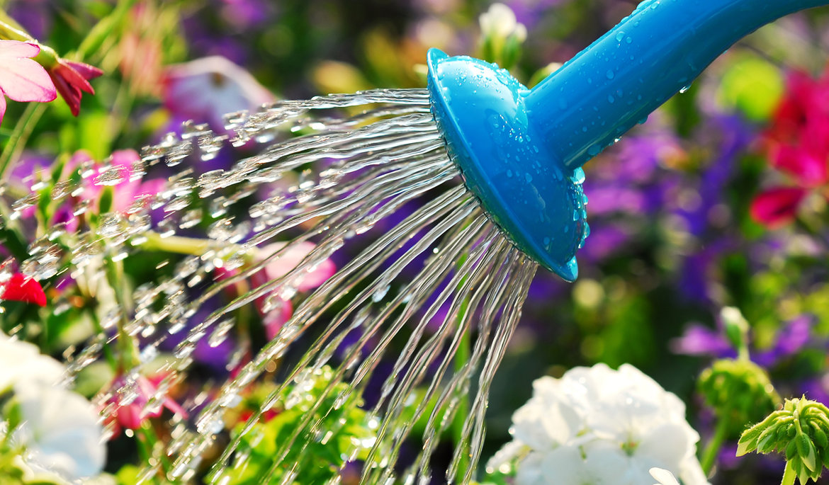 Kostbares Gut Regenwasser | © GRÖMO